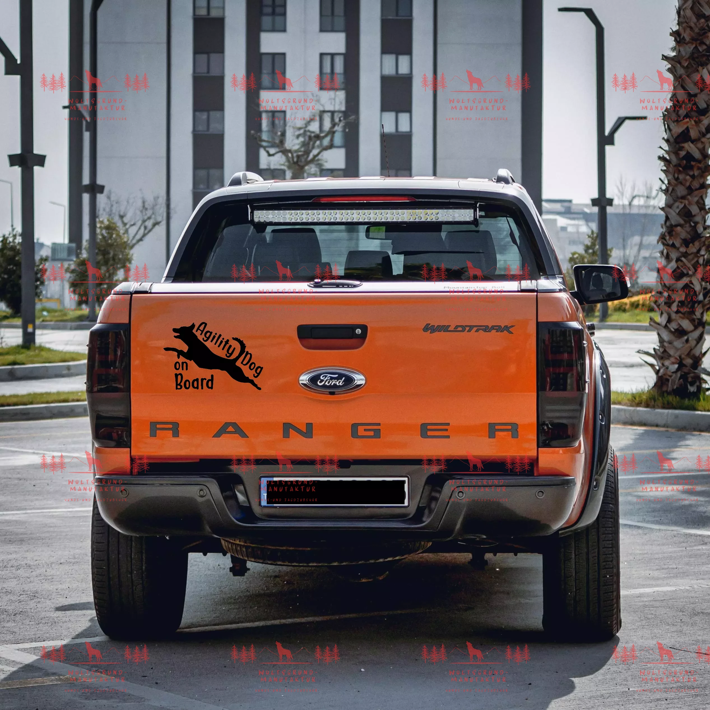 Agility Dog on board