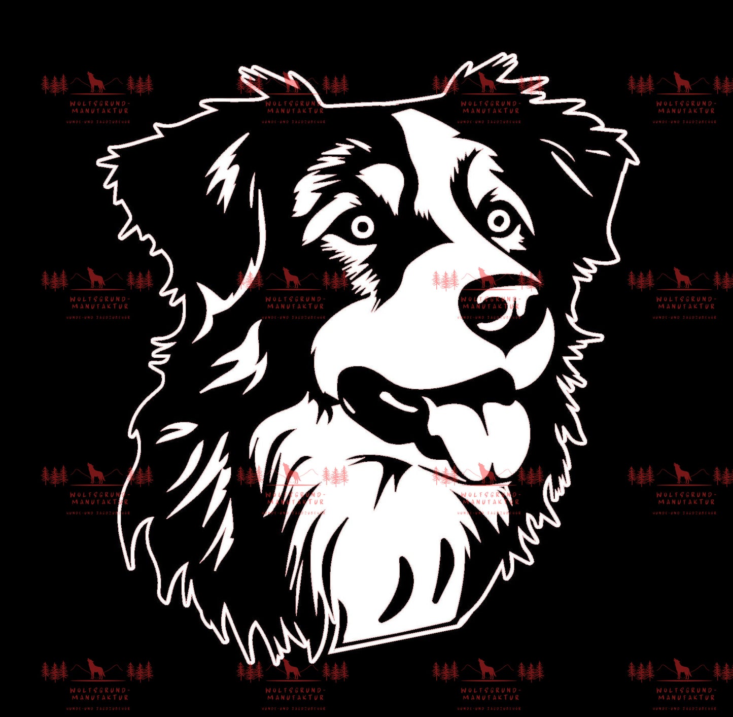 Australian Shepherd 6