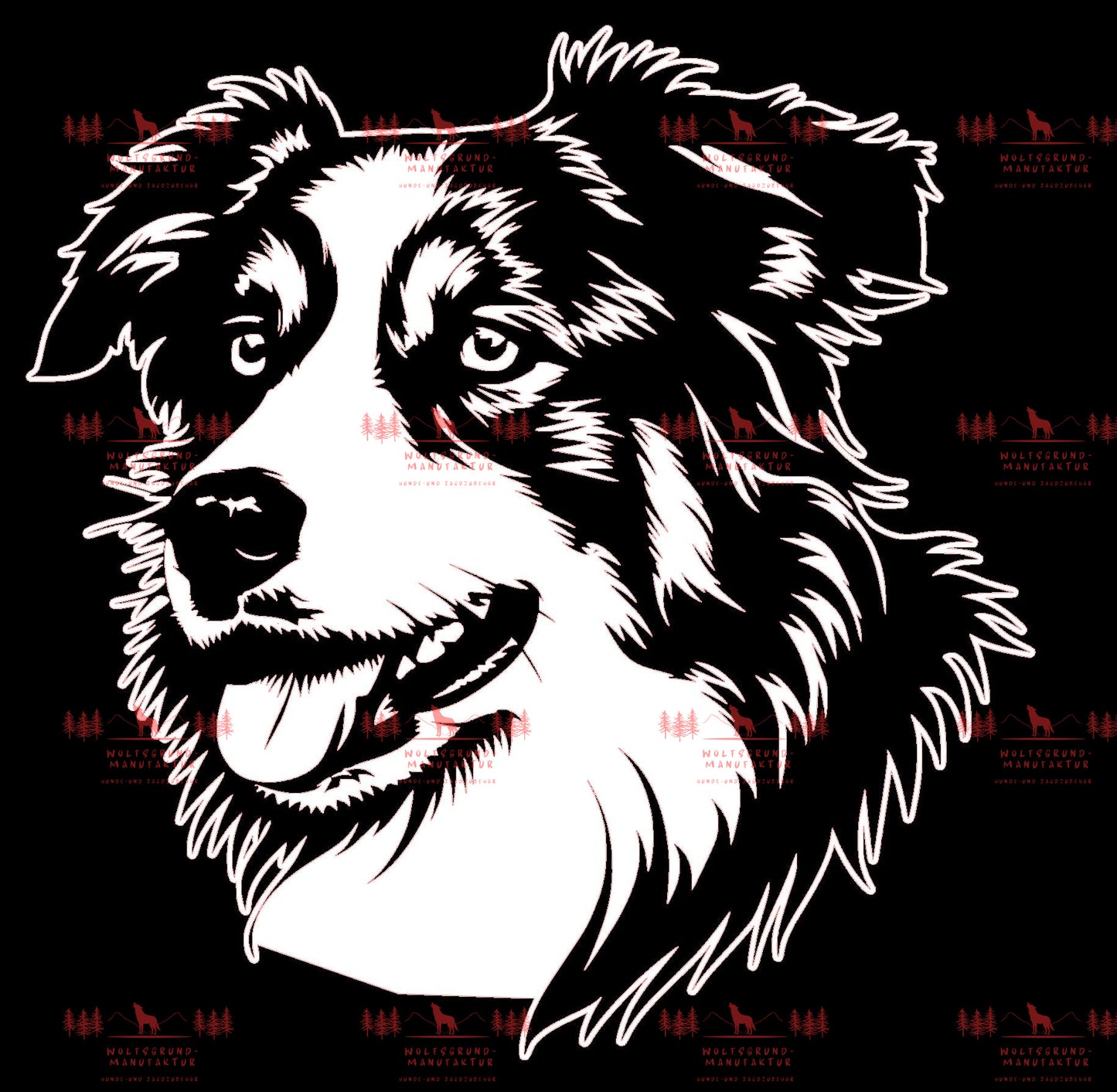 Australian Shepherd 7