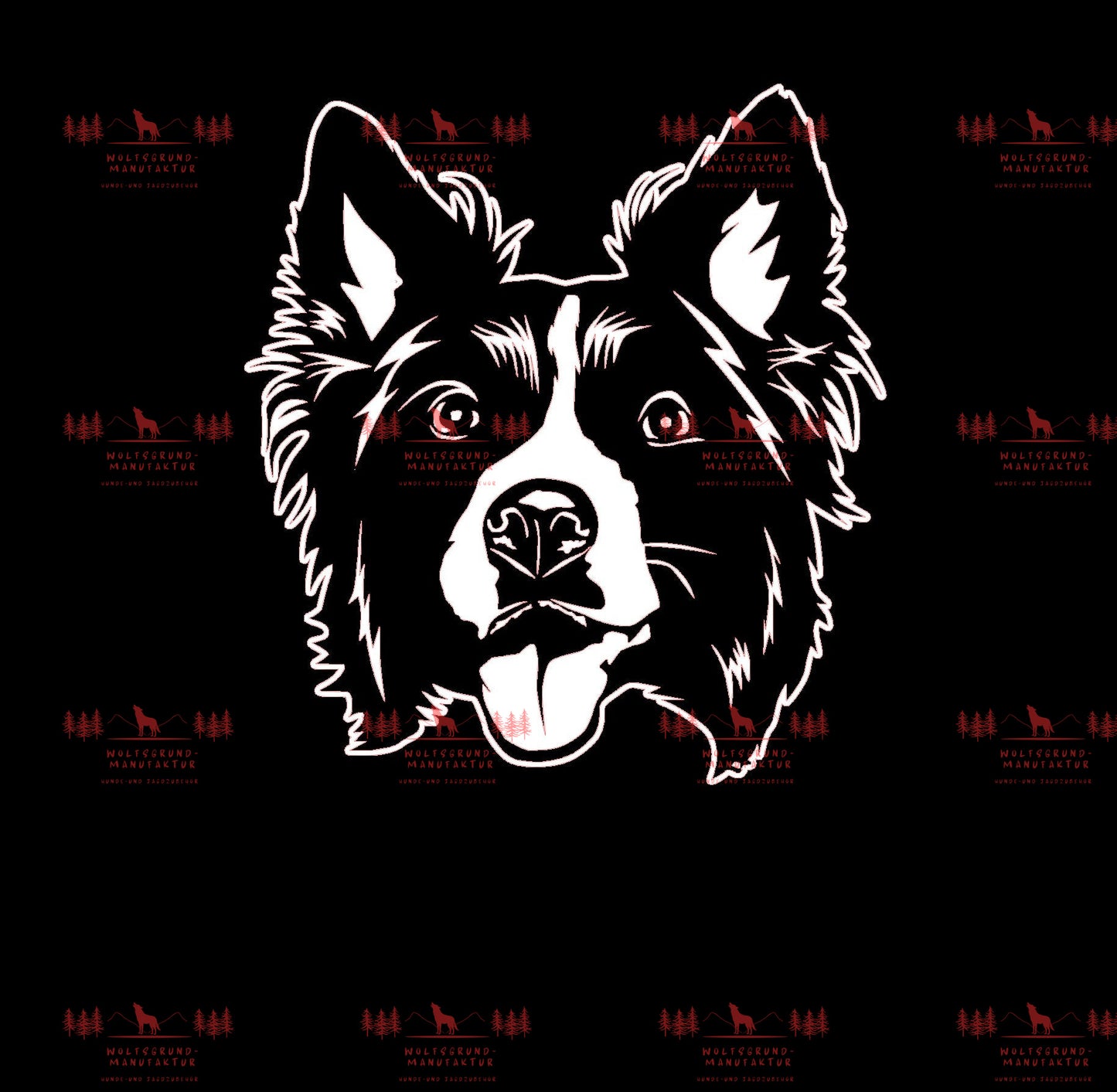 Border Collie 2