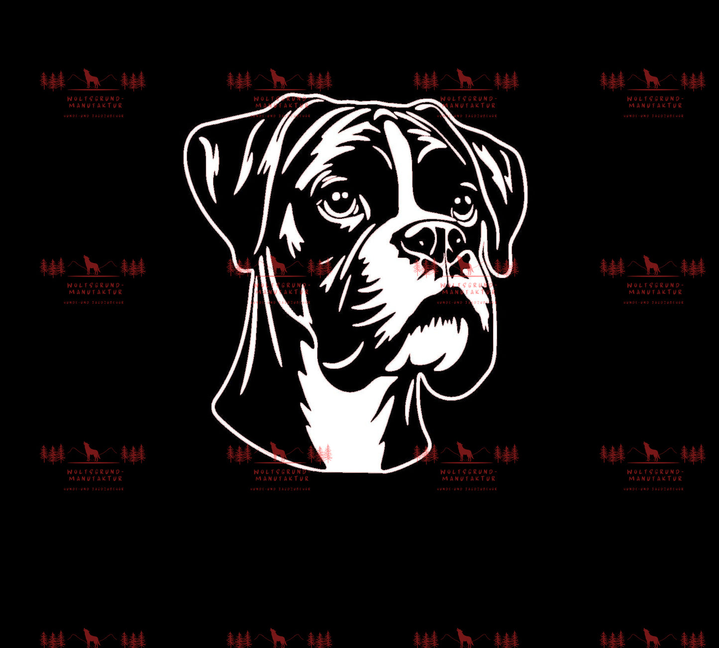 Boxer 2