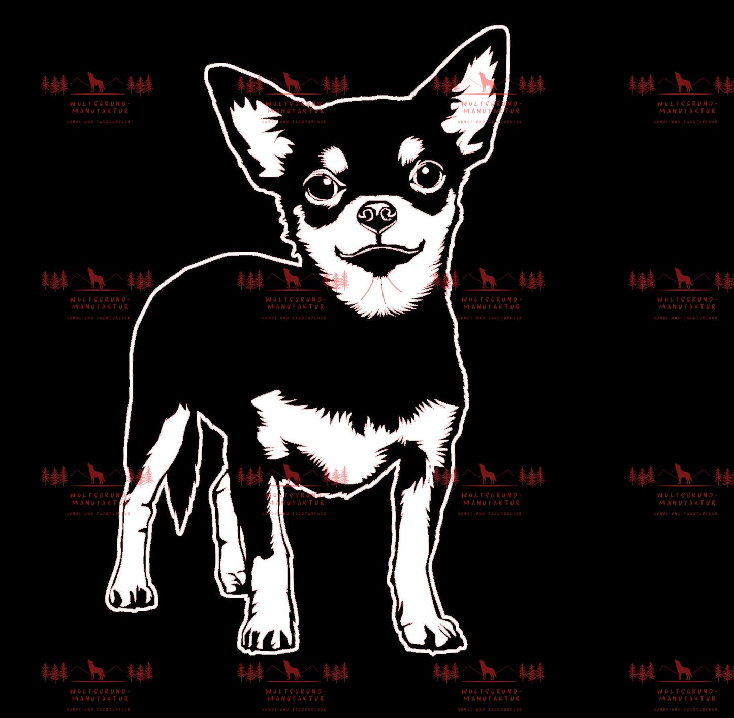 Chihuahua 1
