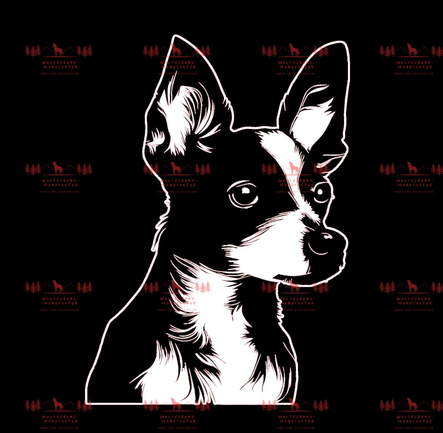 Chihuahua 4