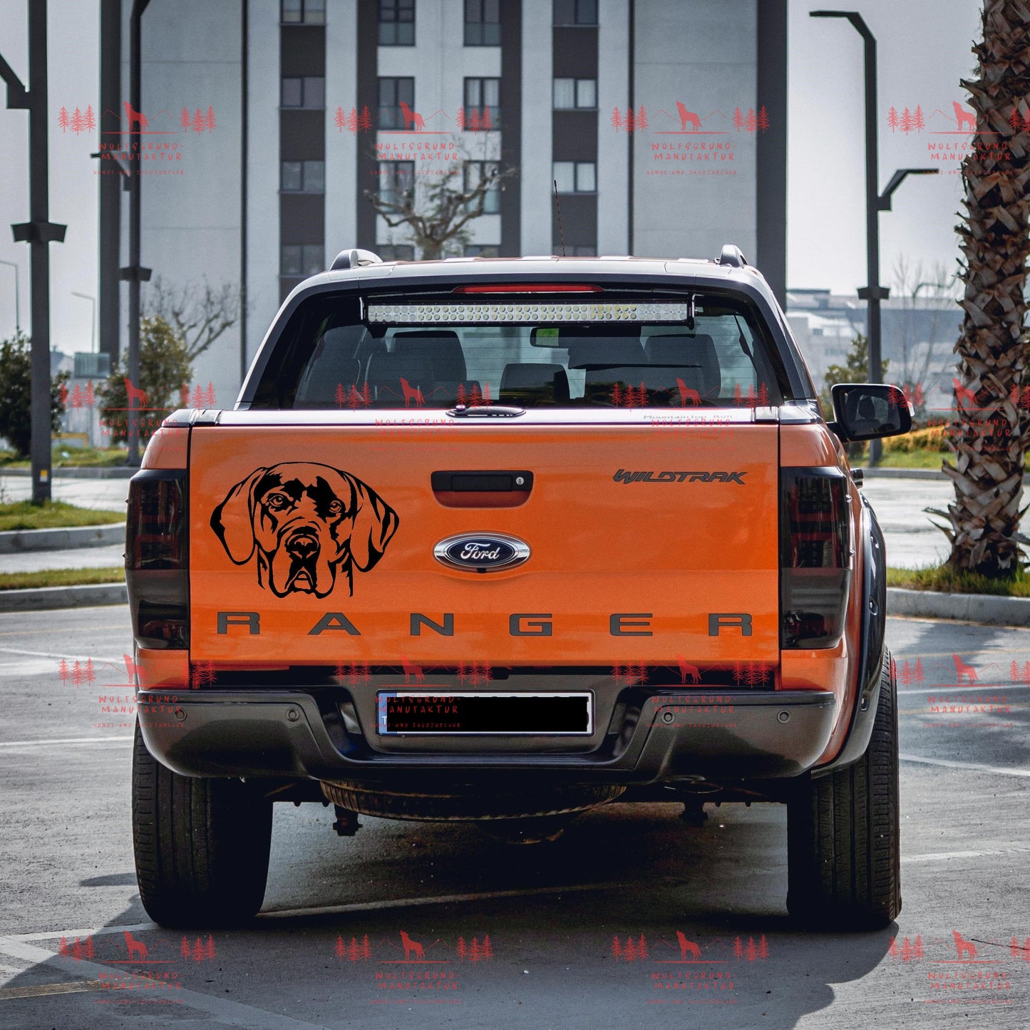 Deutsche Dogge 5