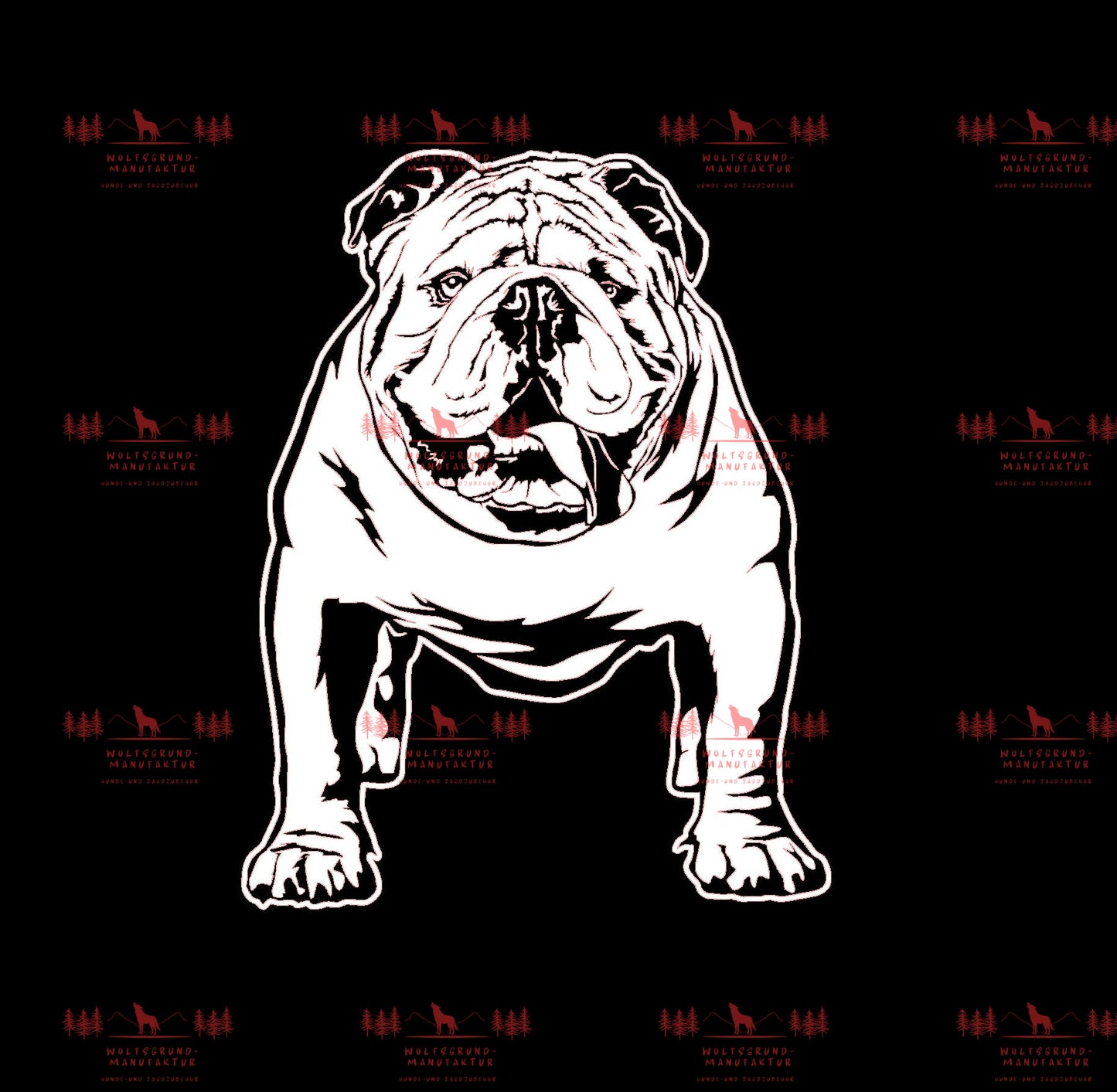 Englische Bulldogge 1