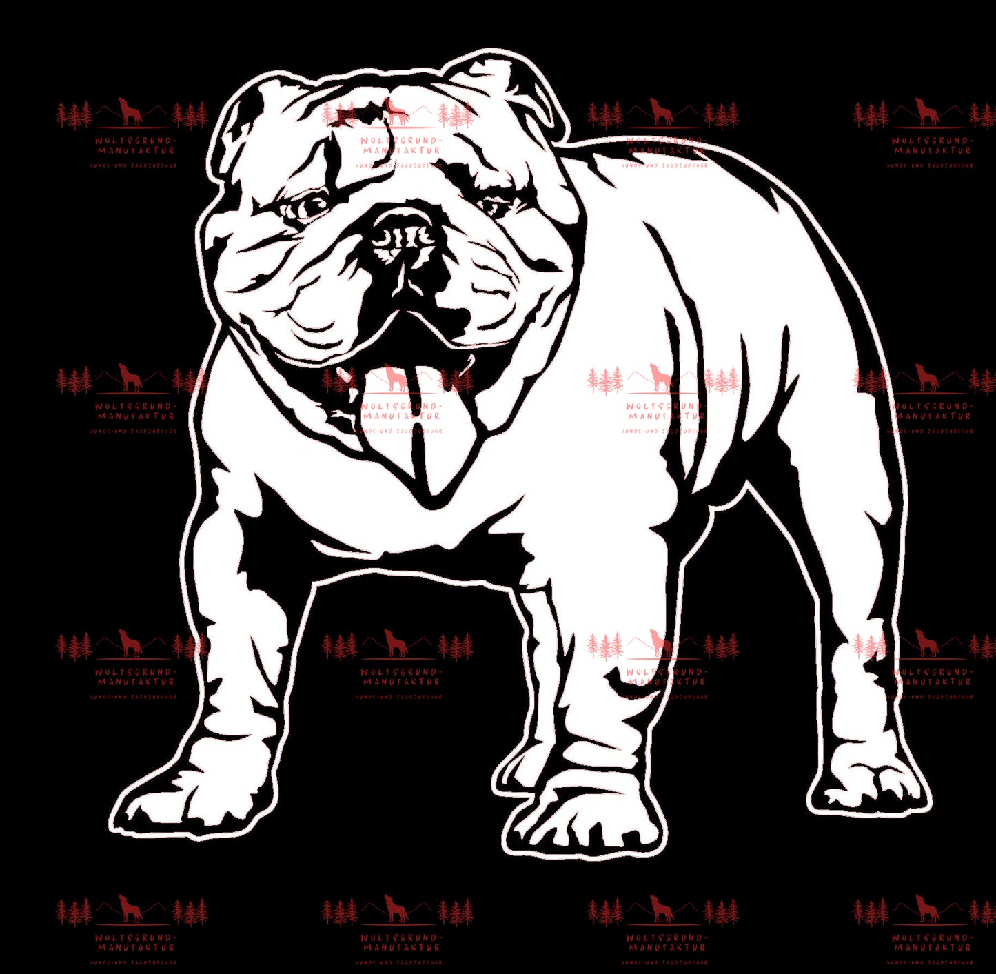 Englische Bulldogge 3