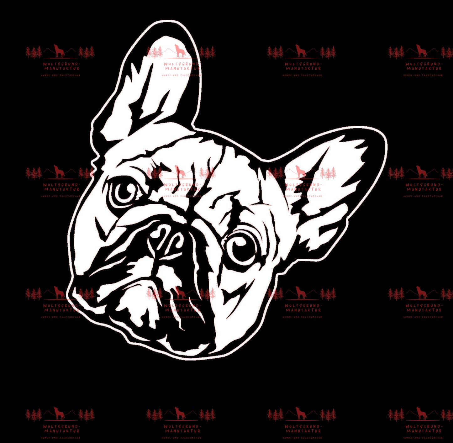 Französische Bulldogge 2