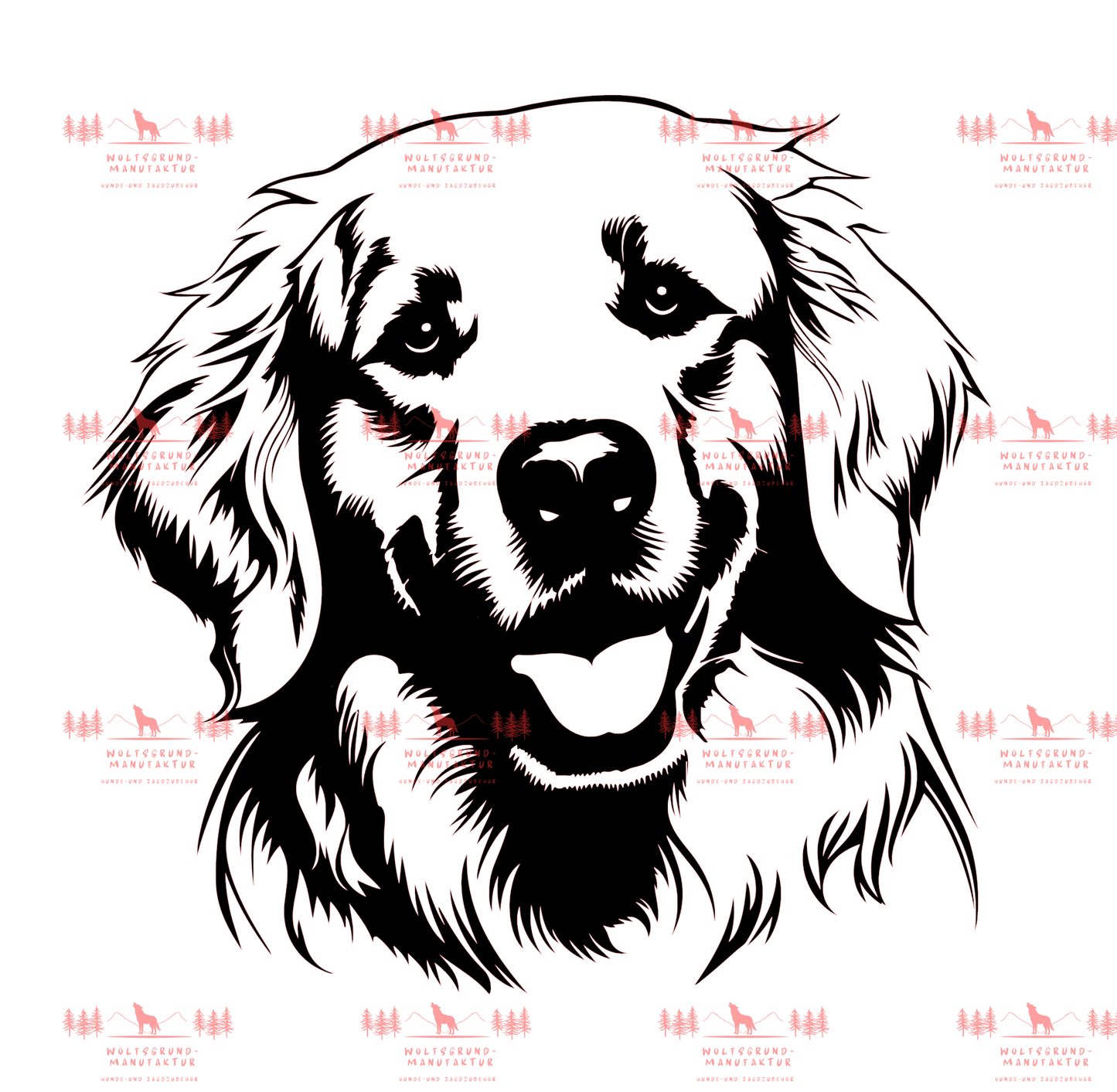 Golden Retriever 4