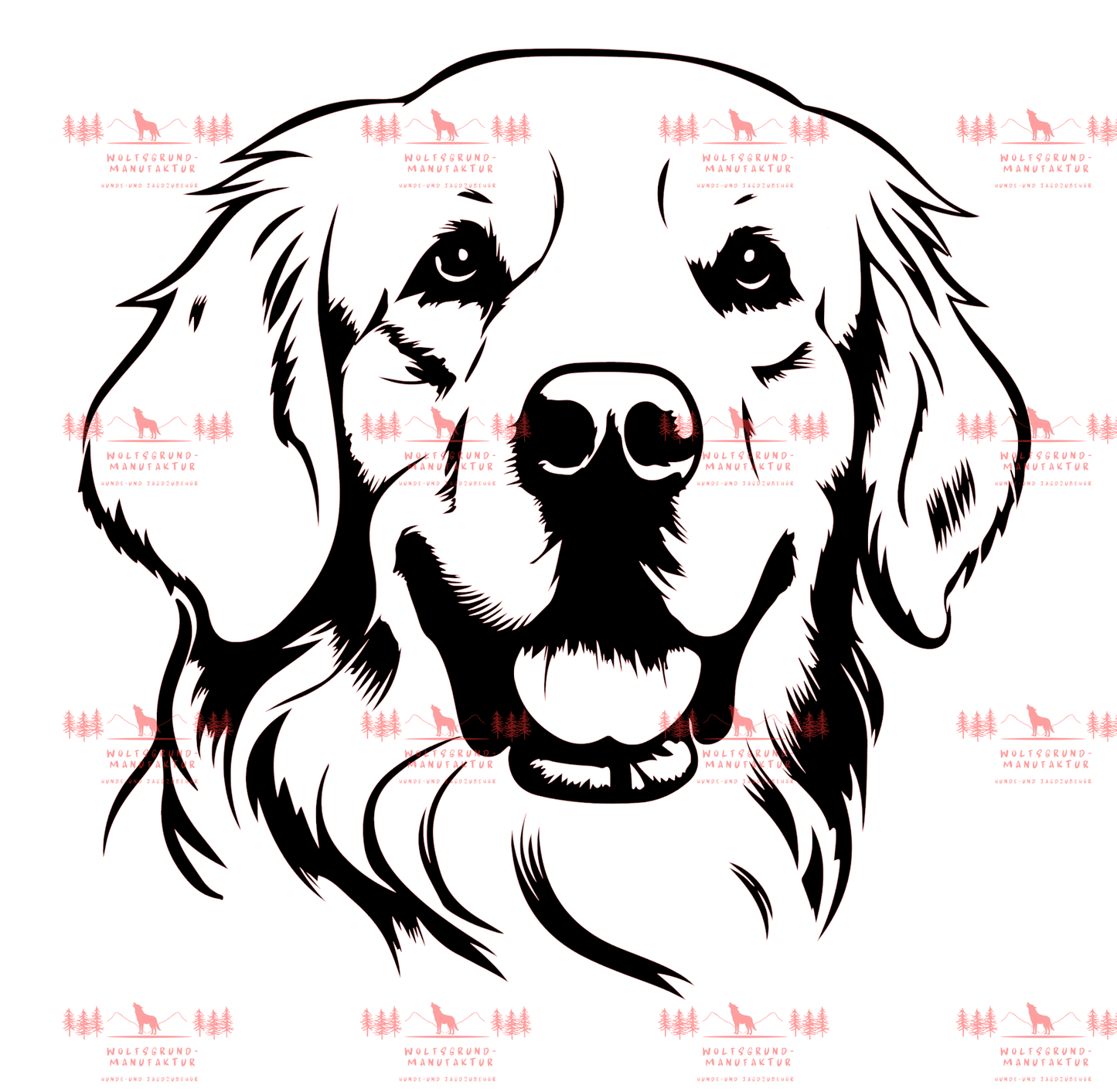 Golden Retriever 5