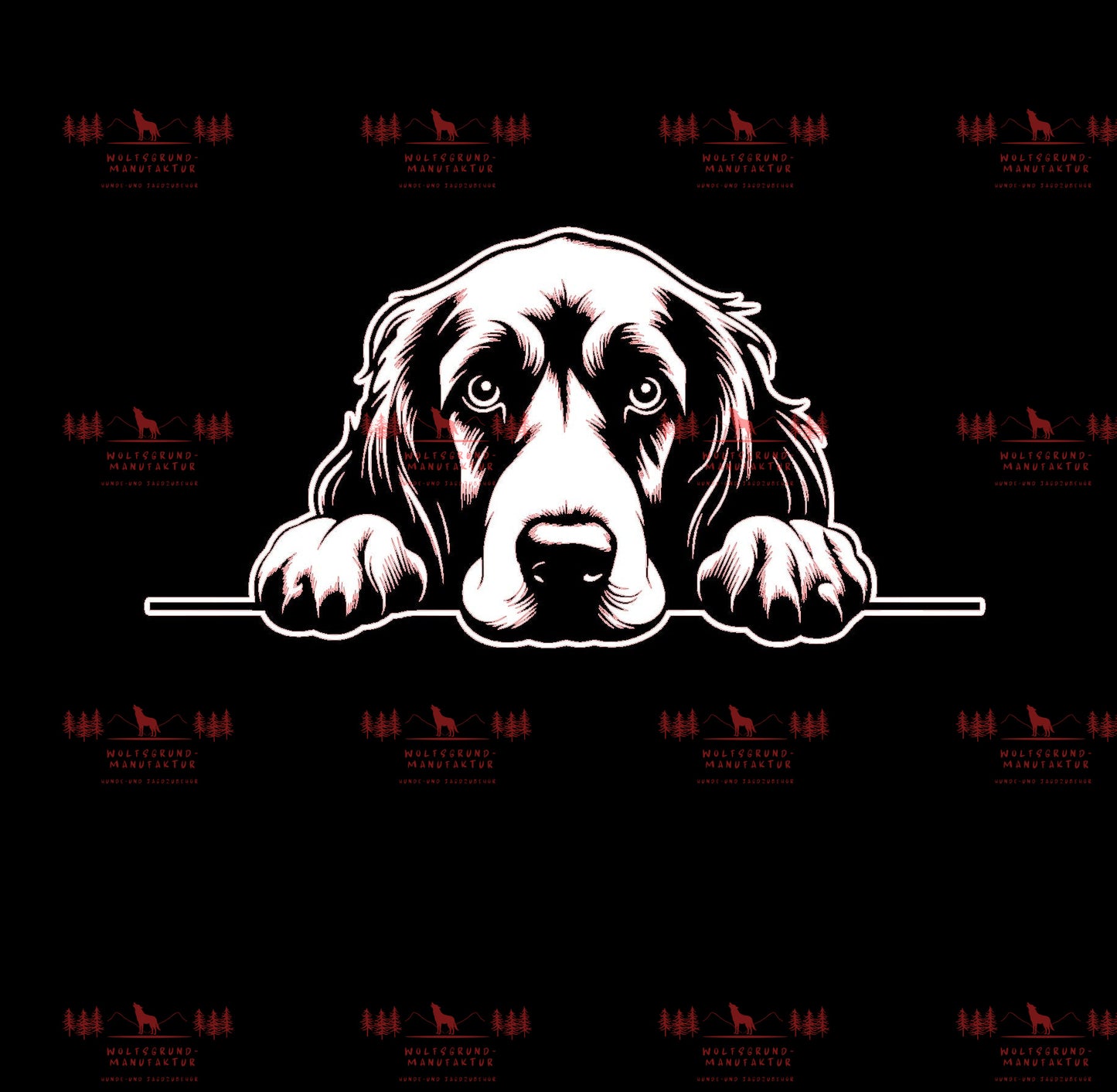 Irish Setter 1