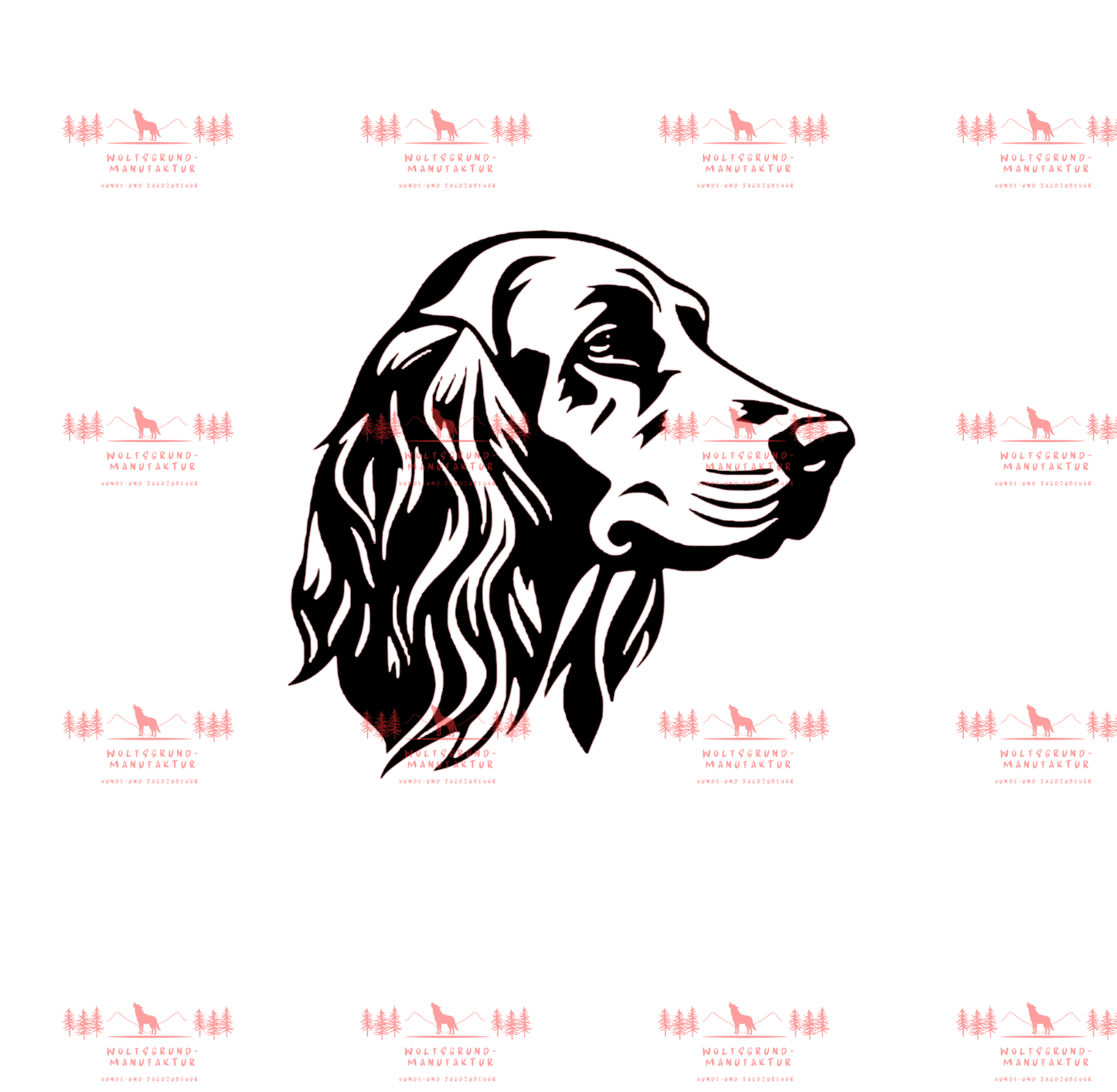 Irish Setter 2