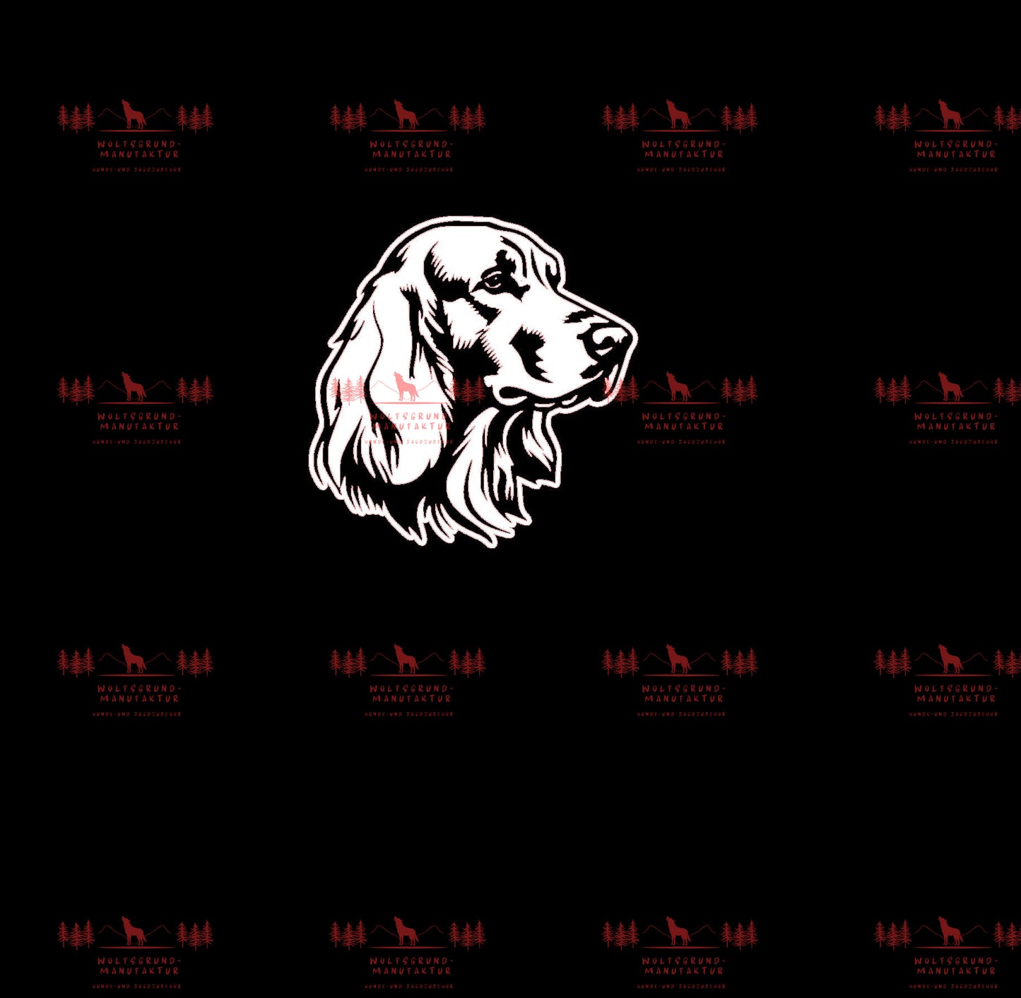 Irish Setter 6