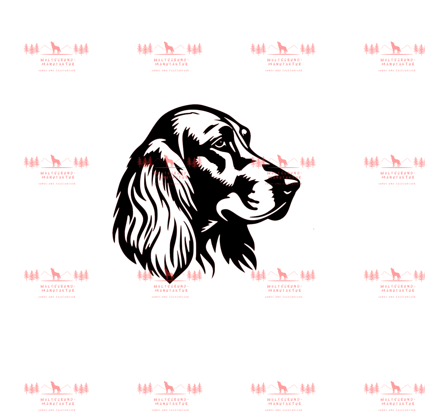 Irish Setter 8
