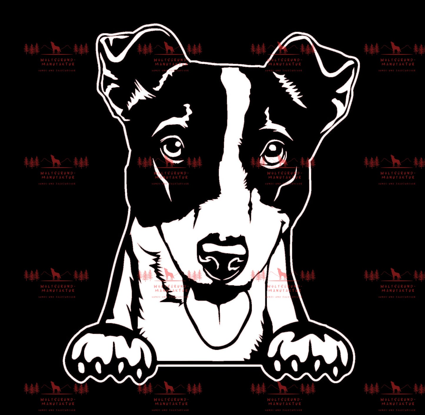 Jack Russell Terrier 2
