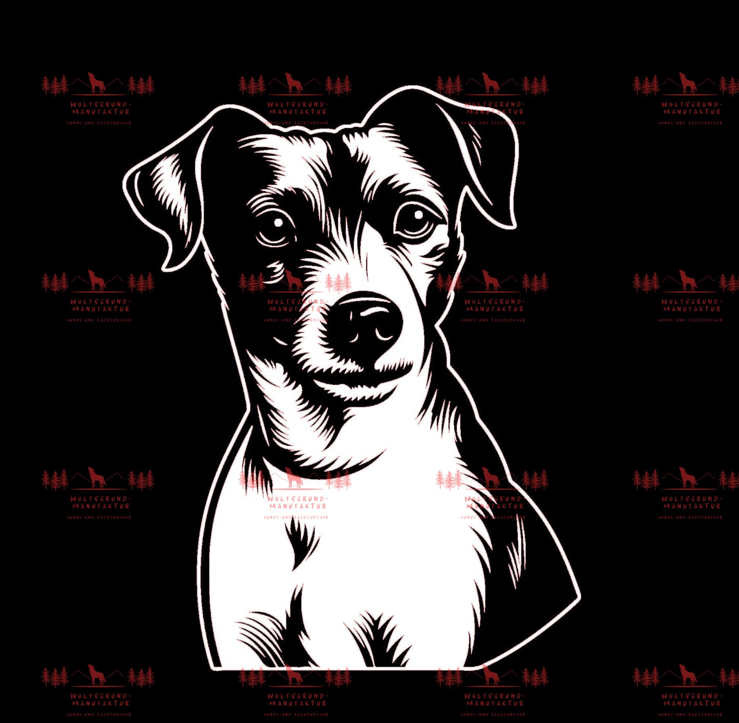 Jack Russell Terrier 6