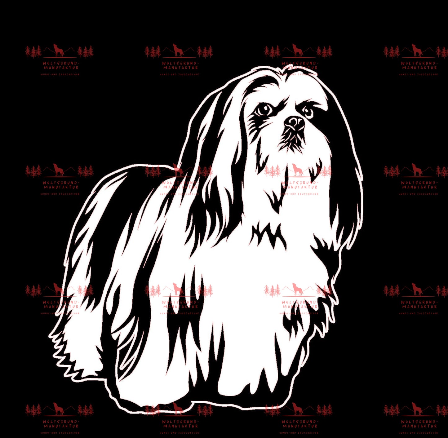 Lhasa Apso 1