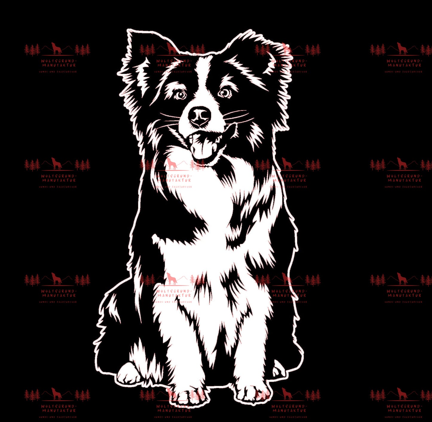 Mini Australian Shepherd 1