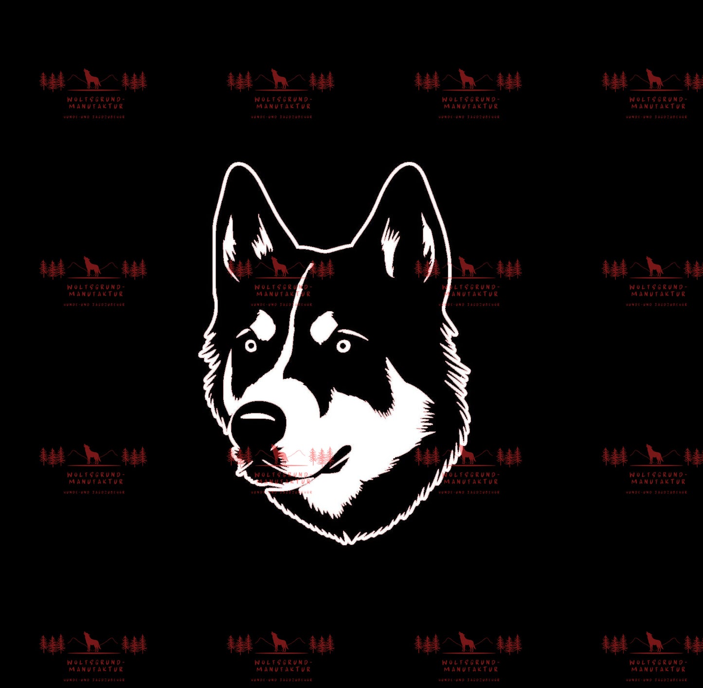 Siberian Husky 6
