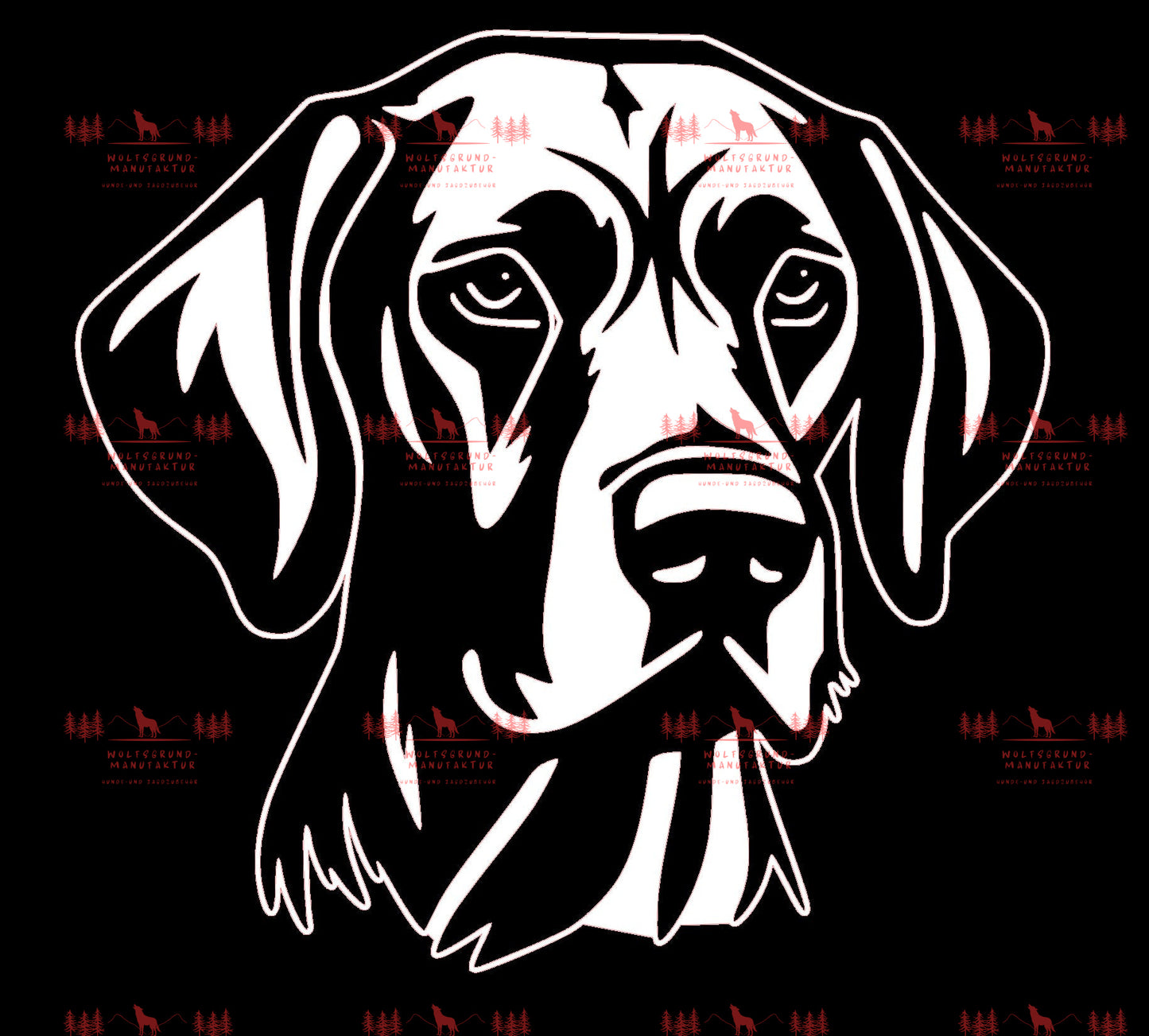 Vizsla 6