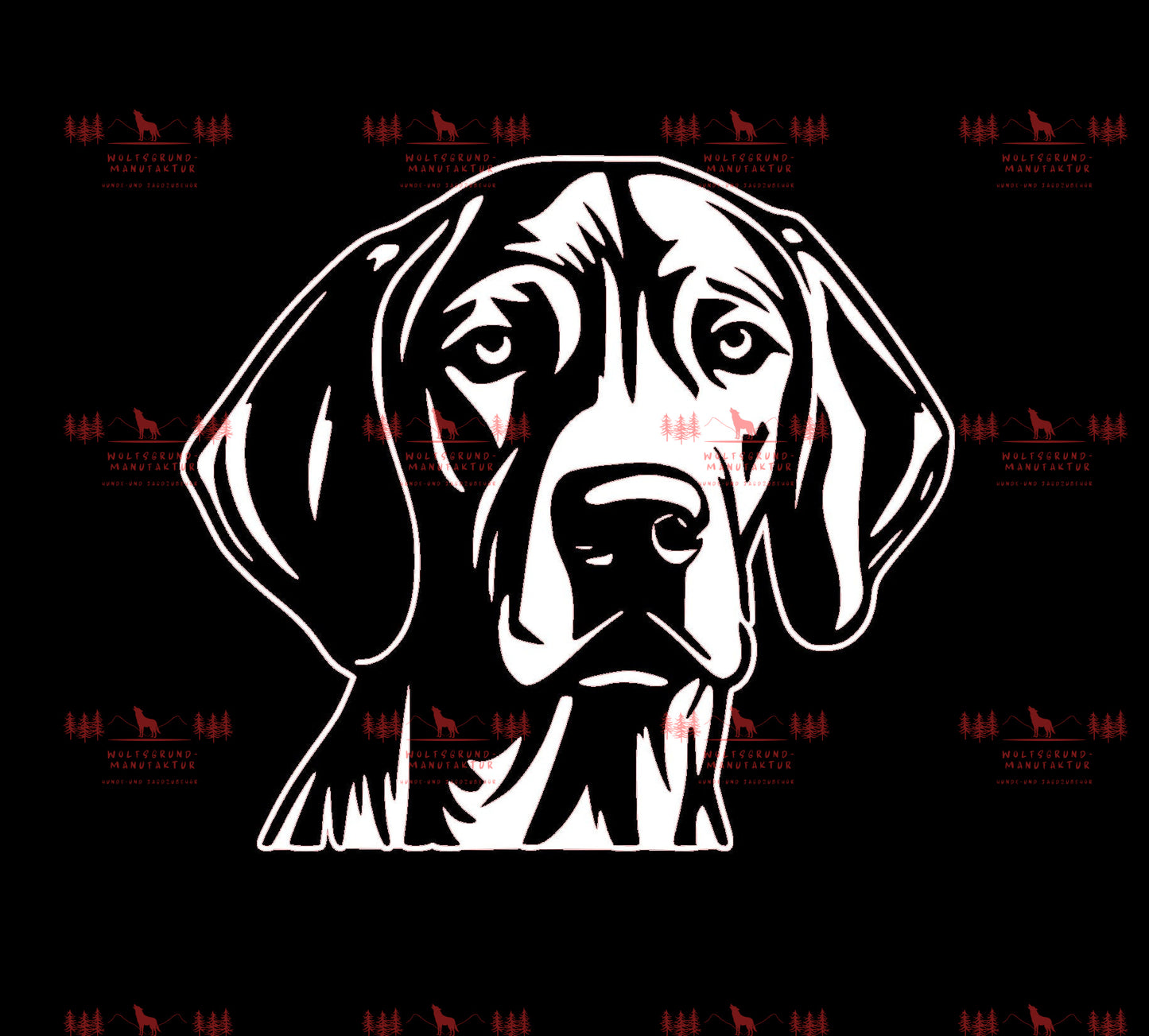 Vizsla 9
