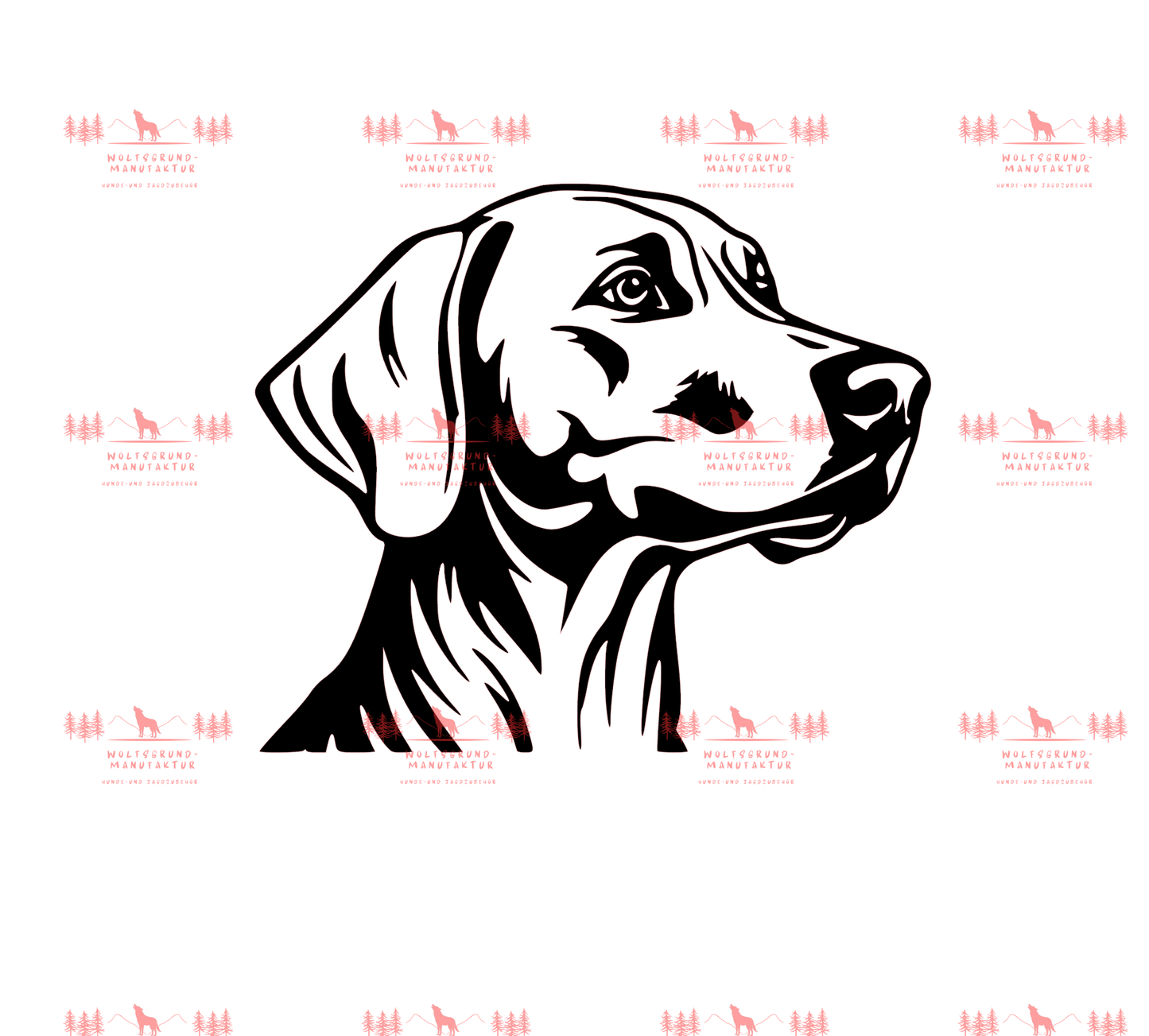 Weimaraner 5