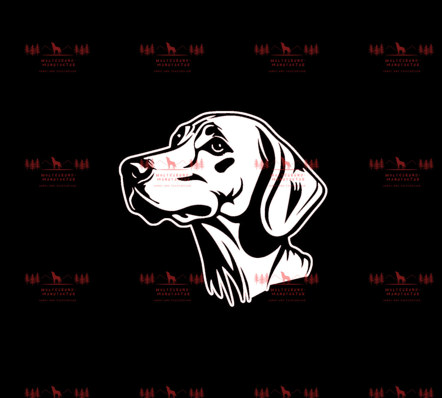 Weimaraner 6