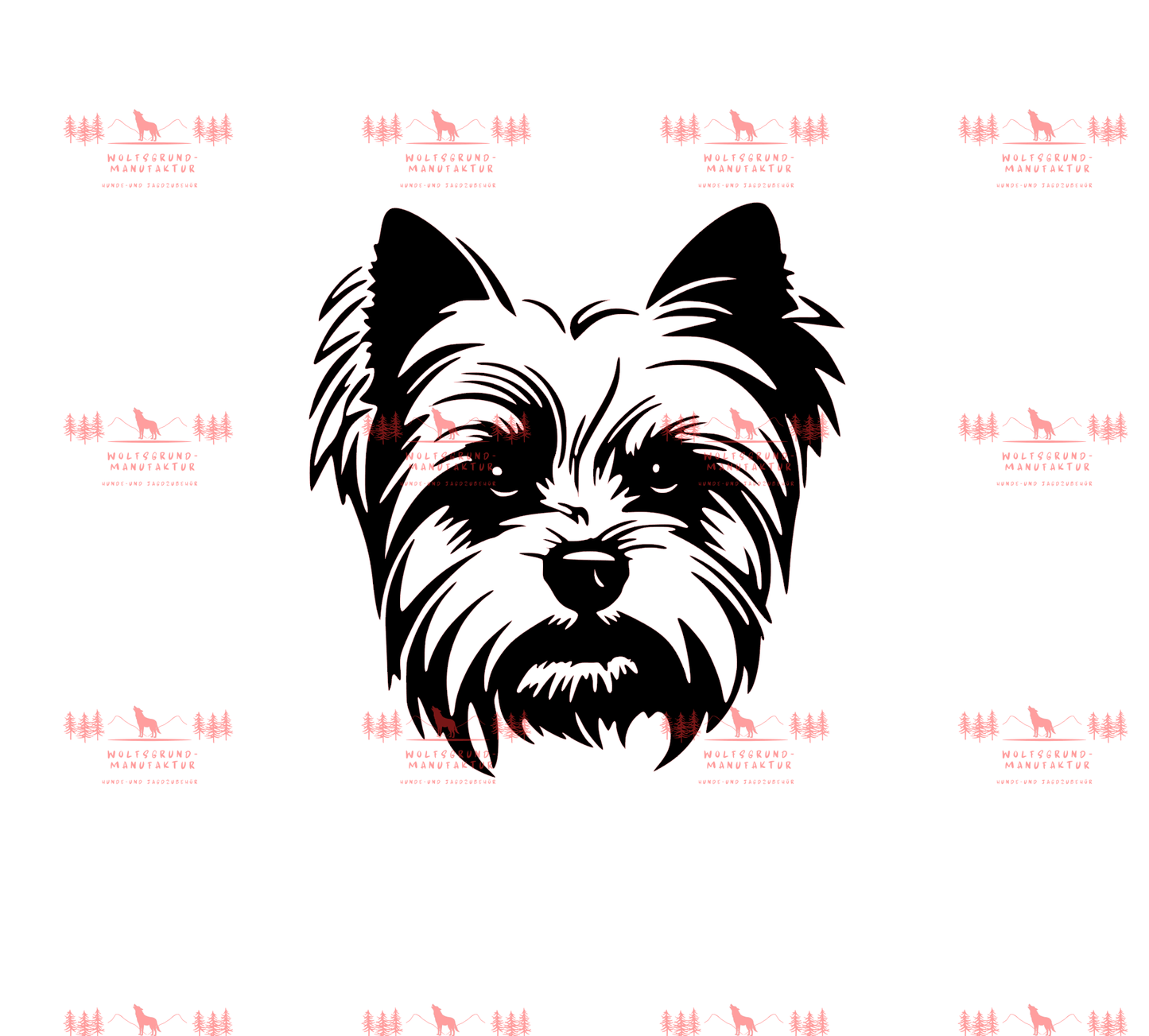 Yorkshire Terrier 1