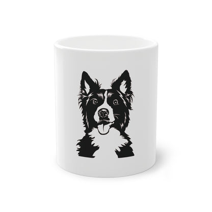 Tasse - Border Collie 3