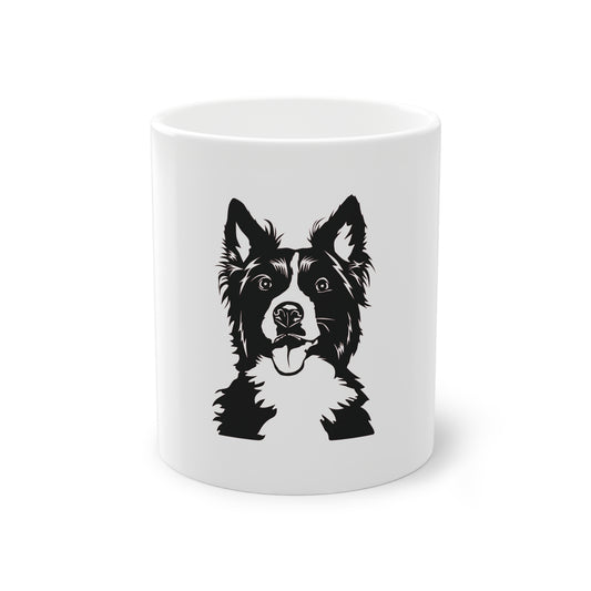 Tasse - Border Collie 3