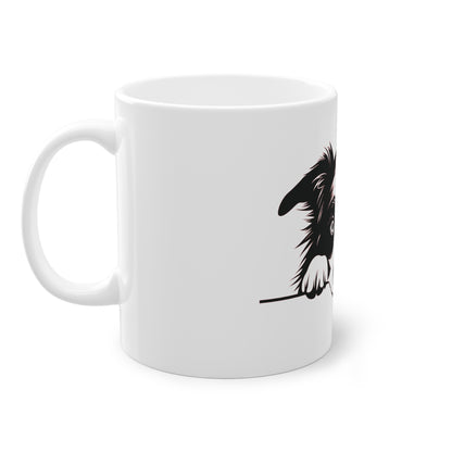 Tasse - Border Collie 1