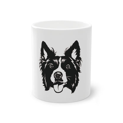 Tasse - Border Collie 2