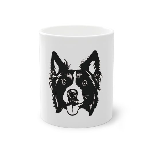 Tasse - Border Collie 2