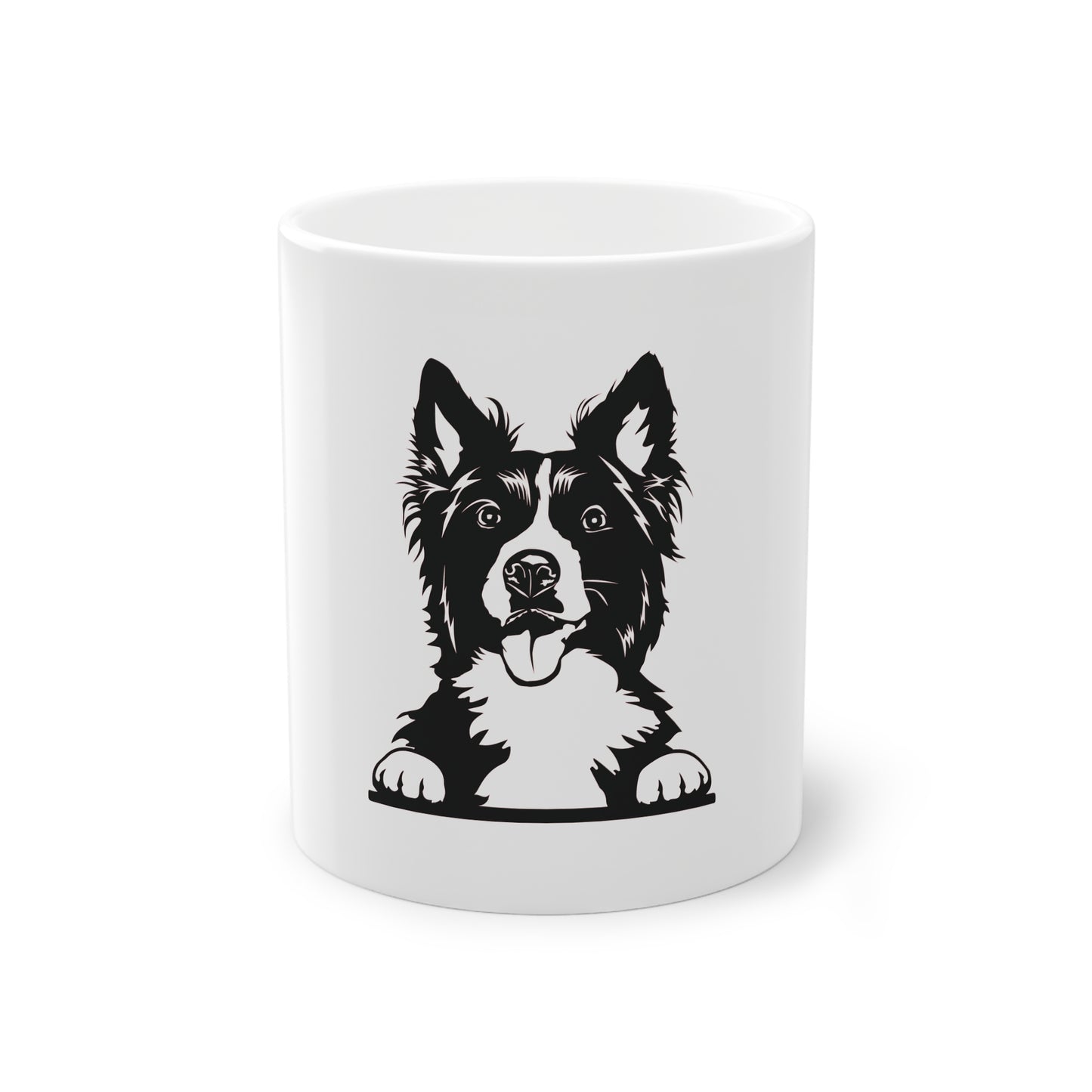 Tasse - Border Collie 4