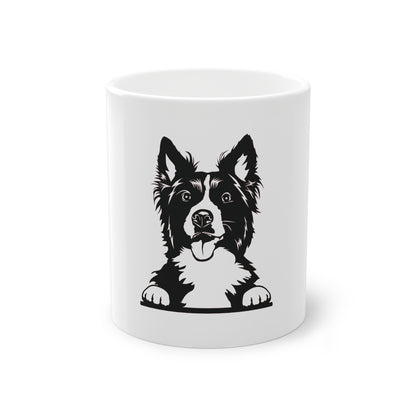 Tasse - Border Collie 4