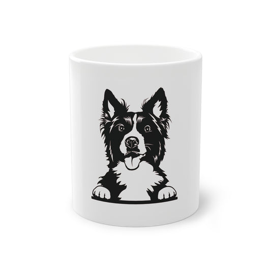 Tasse - Border Collie 4