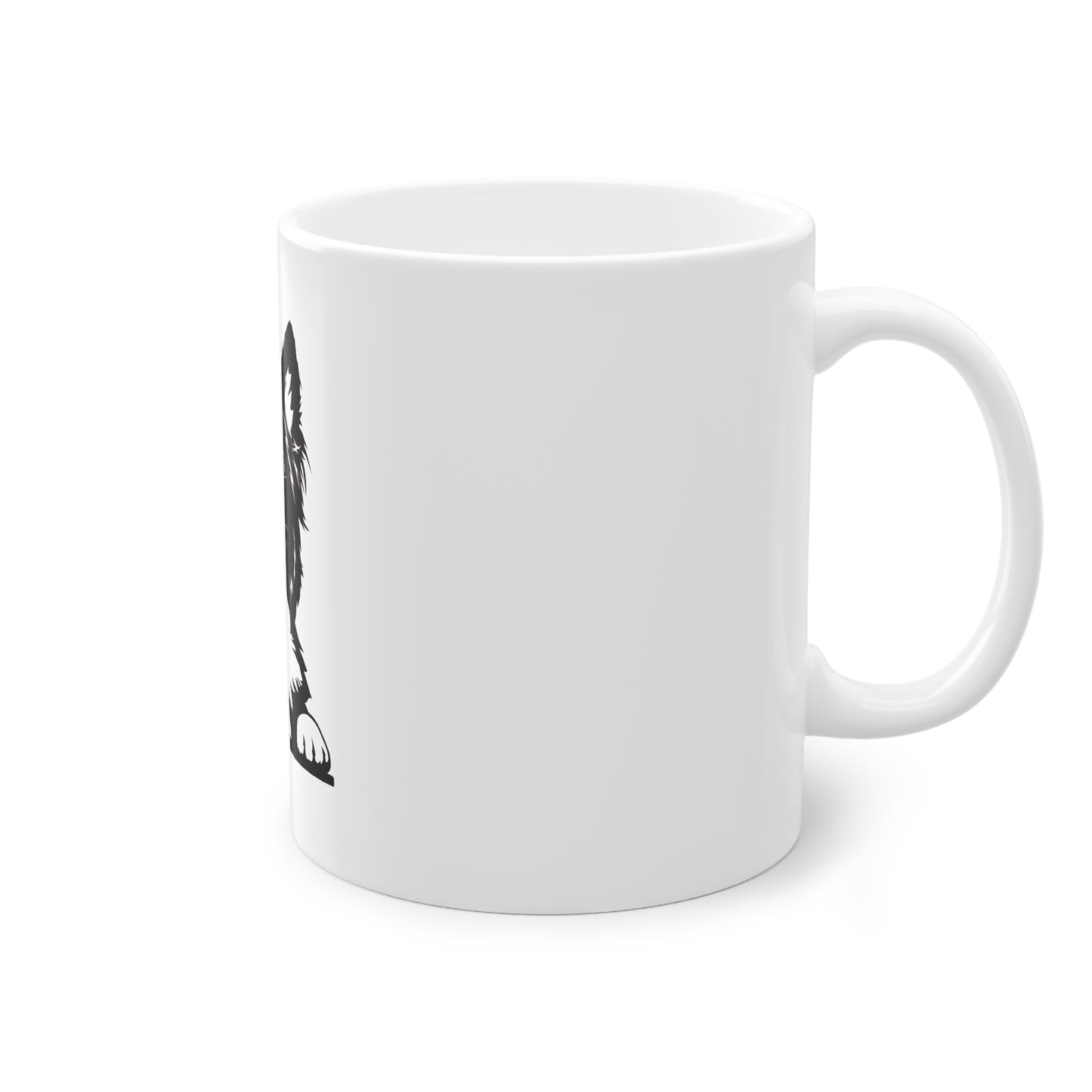 Tasse - Border Collie 4