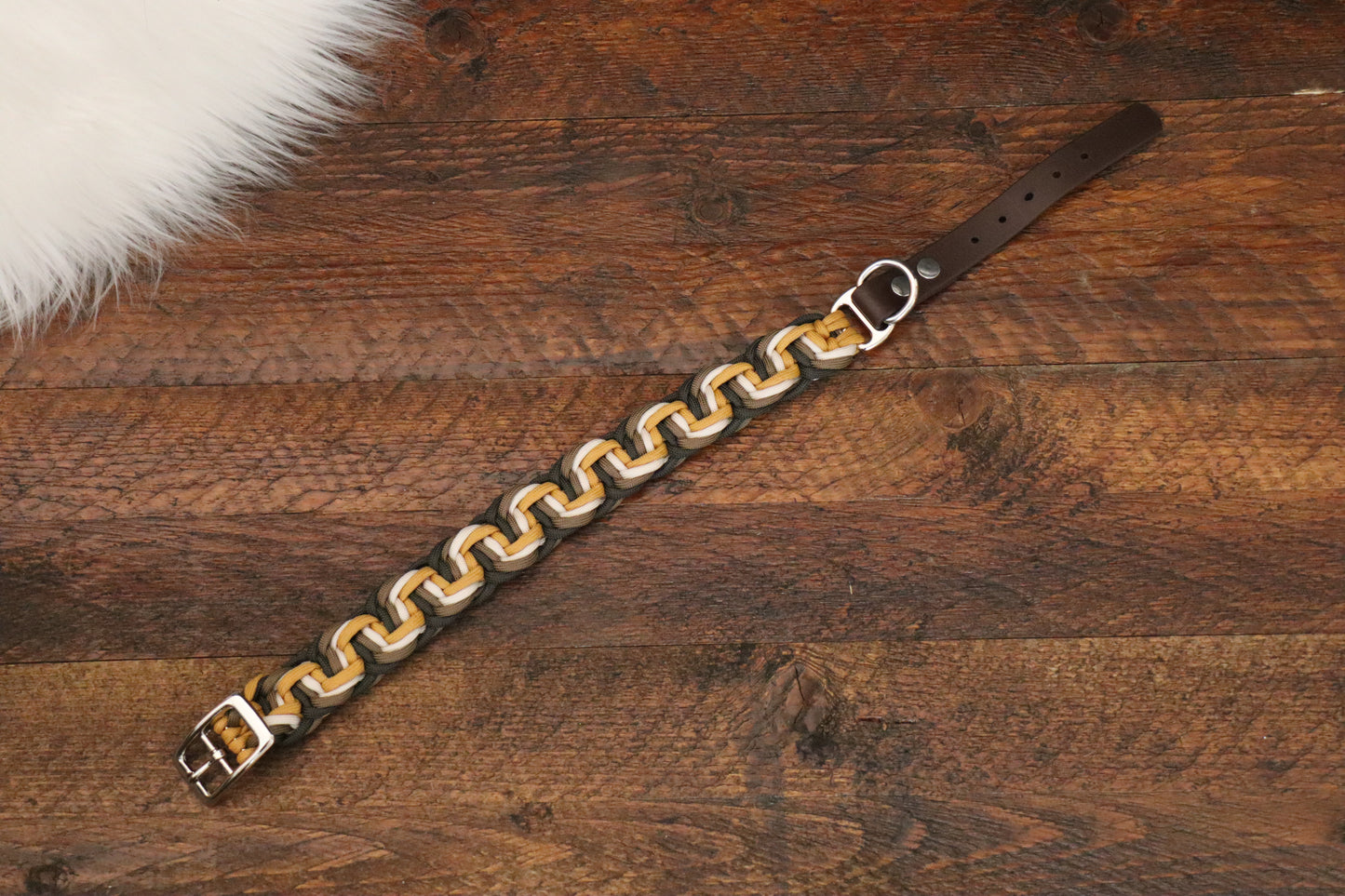 4 Coloured Solomon Belly Bar