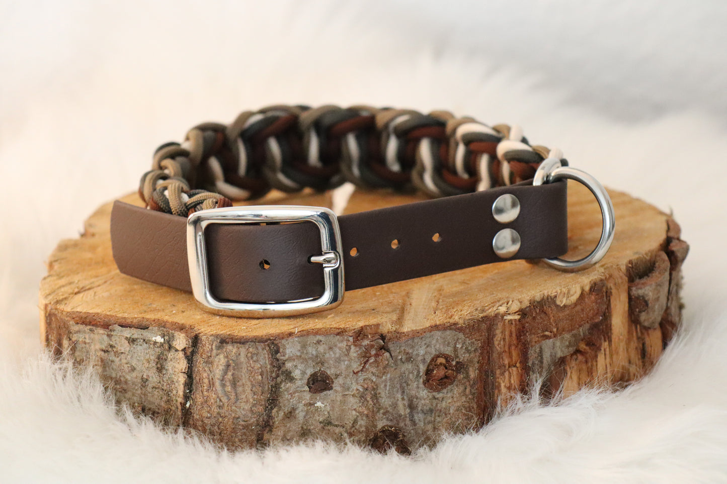 4 Coloured Solomon Belly Bar