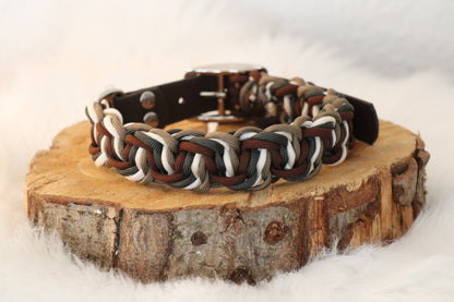 4 Coloured Solomon Belly Bar