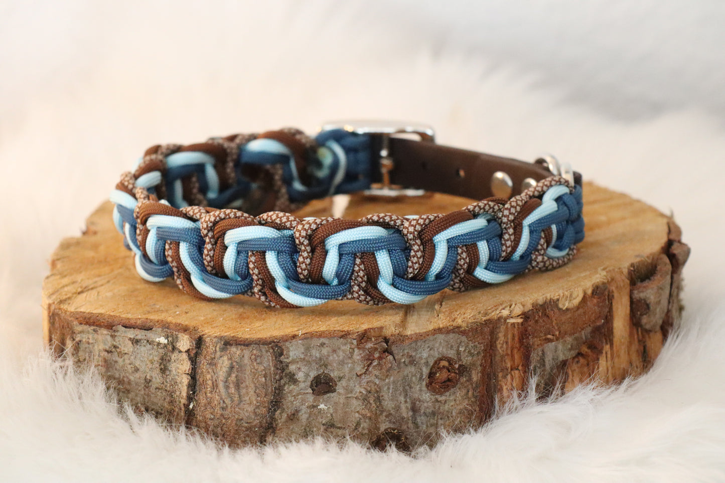 4 Coloured Solomon Belly Bar