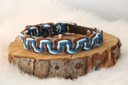 4 Coloured Solomon Belly Bar