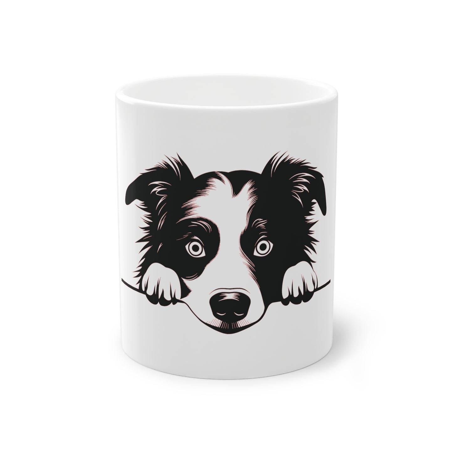 Tasse - Border Collie 1