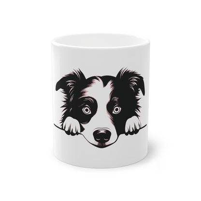 Tasse - Border Collie 1