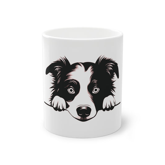 Tasse - Border Collie 1