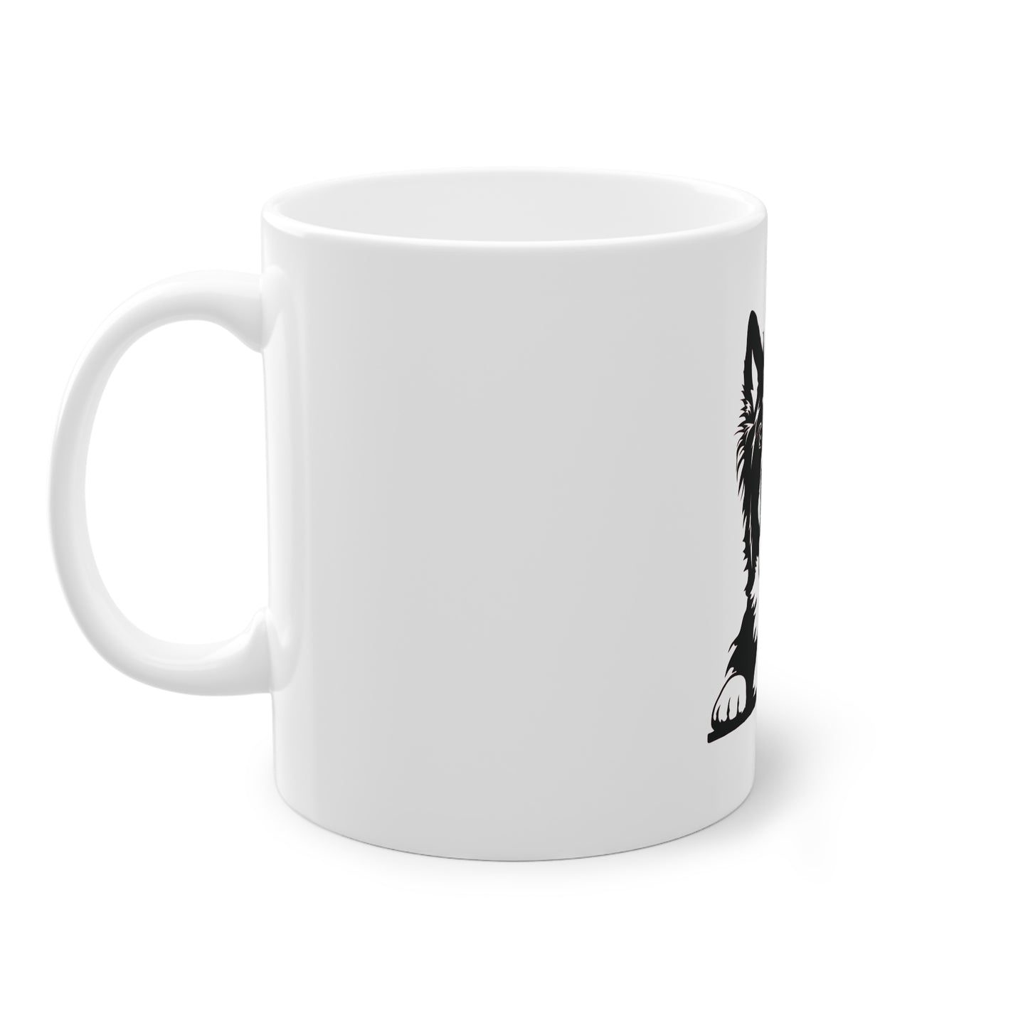 Tasse - Border Collie 4