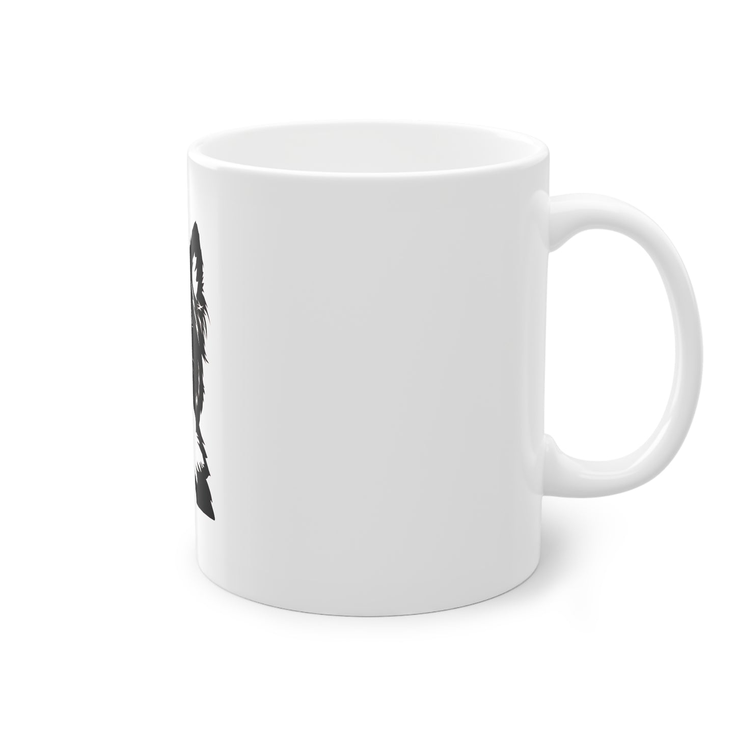 Tasse - Border Collie 3