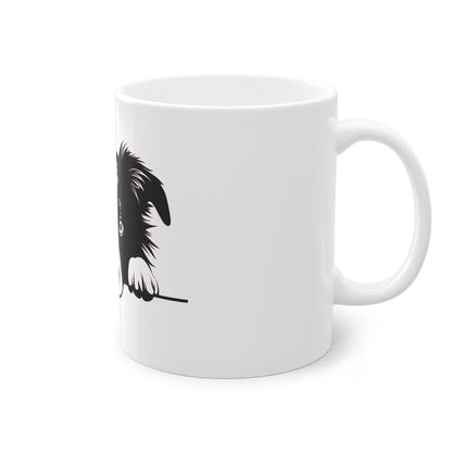 Tasse - Border Collie 1