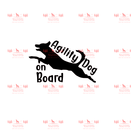 Agility Dog on board