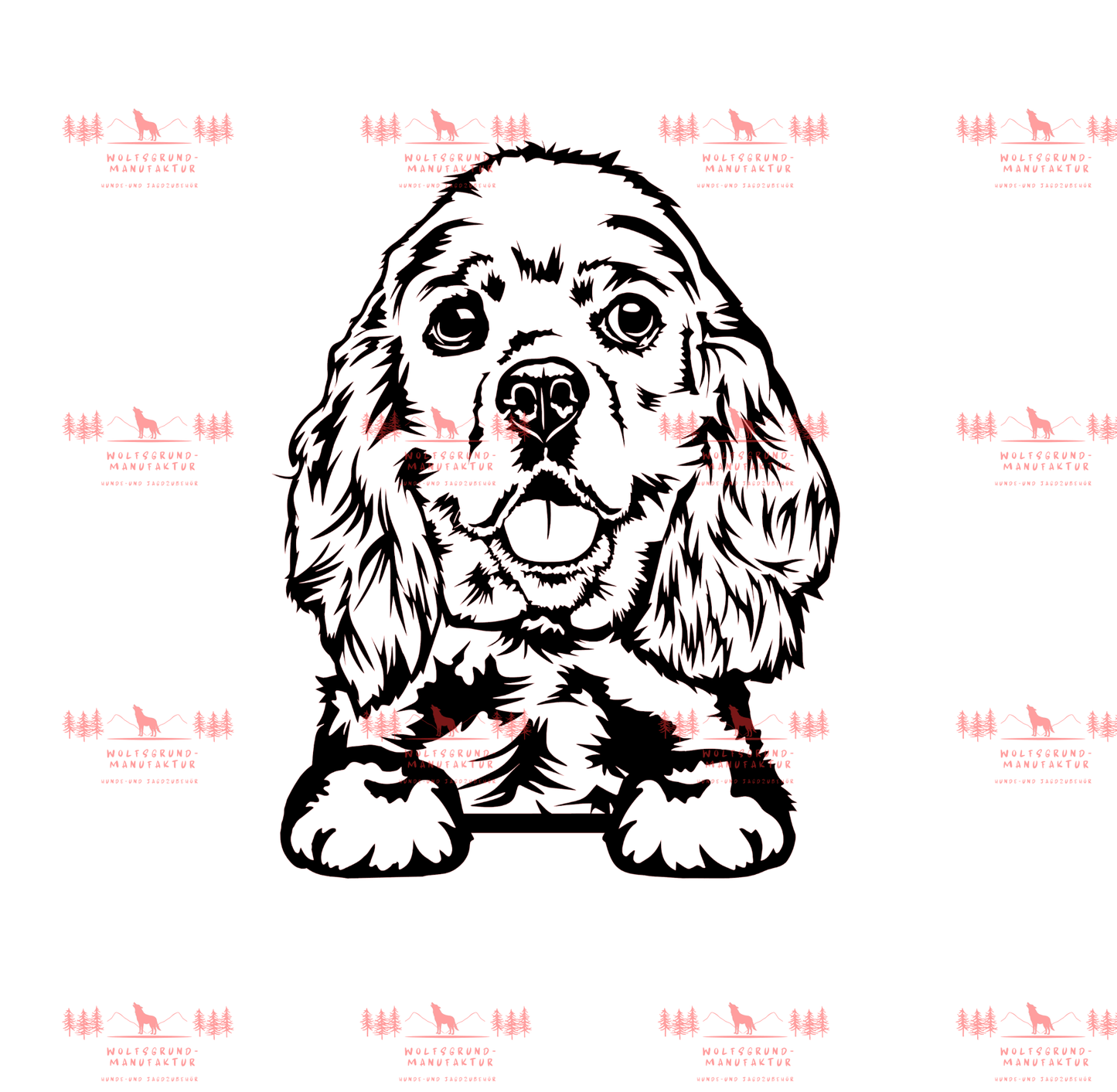 American Cocker Spaniel 3