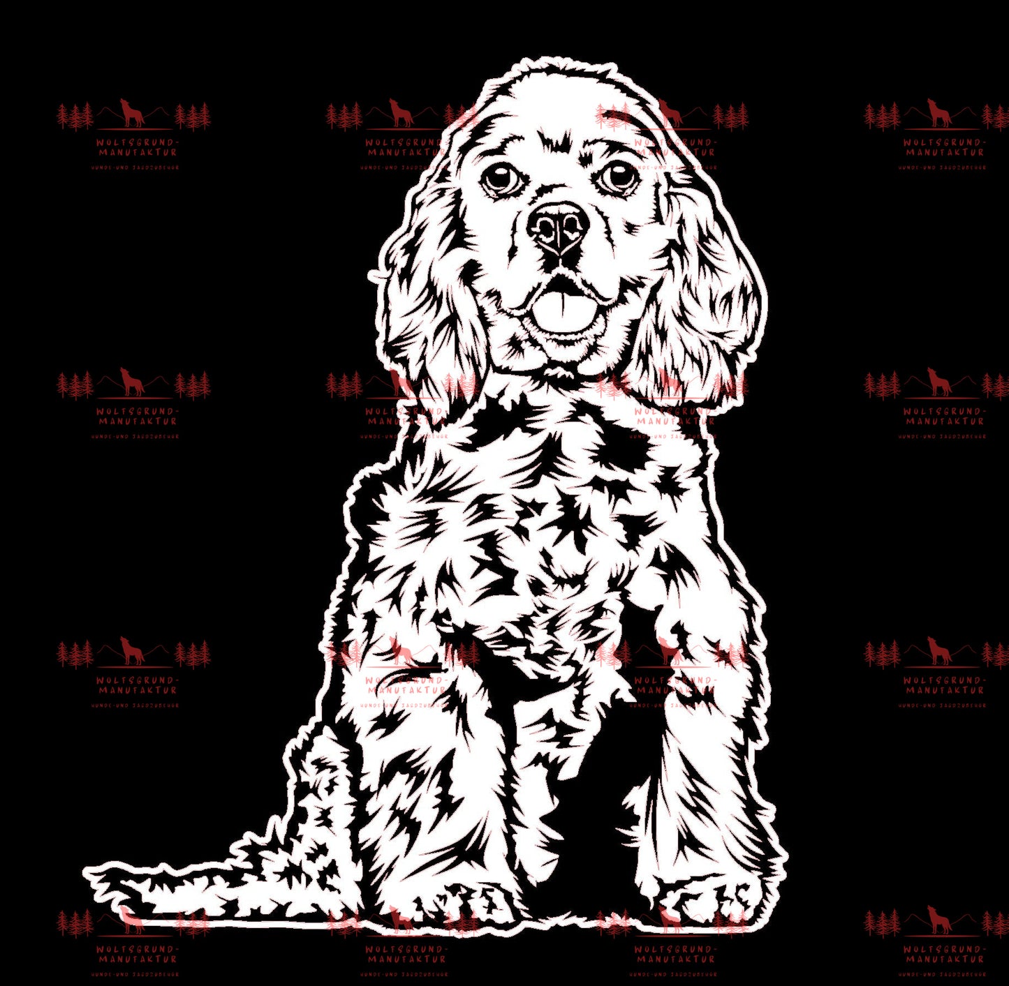 American Cocker Spaniel 1